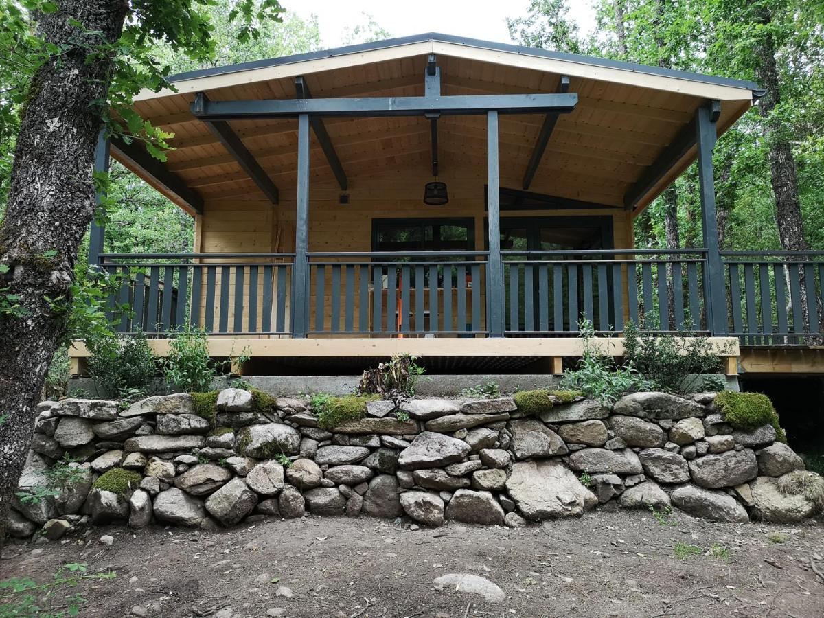 Camping Le Soleil Vivario  エクステリア 写真