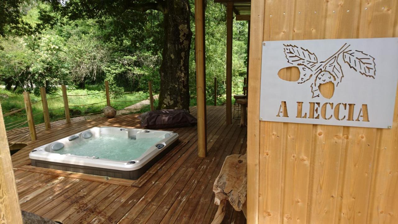 Camping Le Soleil Vivario  エクステリア 写真